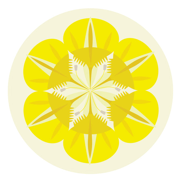 Jenny Duff Gillian Blease flower nasturtium design table mats coasters placemats corkbacked Melamine Made in Britain