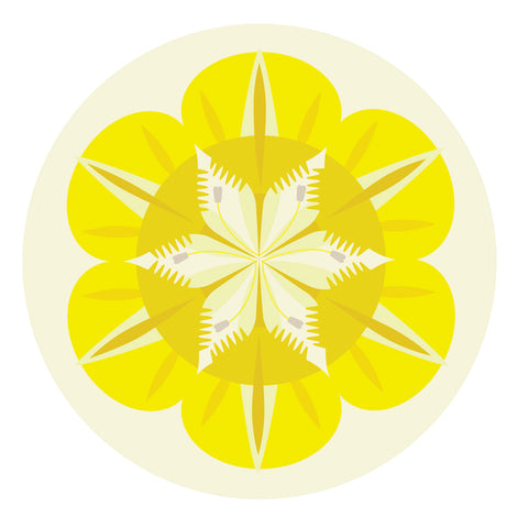 Jenny Duff Gillian Blease flower nasturtium design table mats coasters placemats corkbacked Melamine Made in Britain