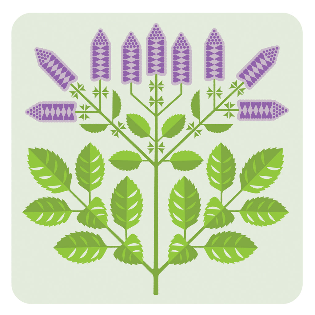 Herbs: Mint table mats