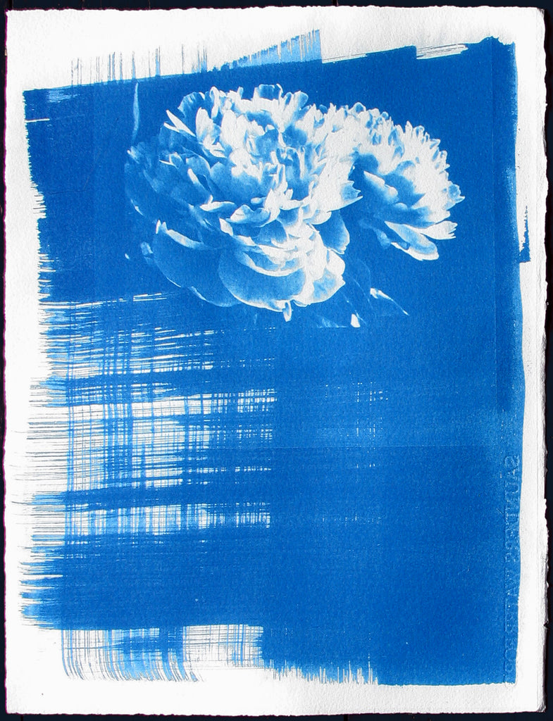 Transmutation: exhibition by London Alternative Photography Collective, January 2023