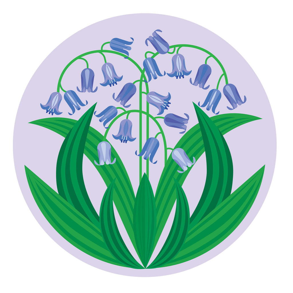 Bluebell pattern cork backed melamine place mat designed by Gillian Blease for Jenny Duff