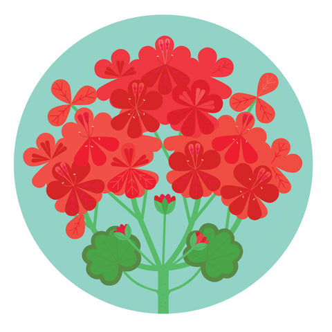 Geranium pattern Melamine table mats and coasters designed by Gillian Blease for Jenny Duff