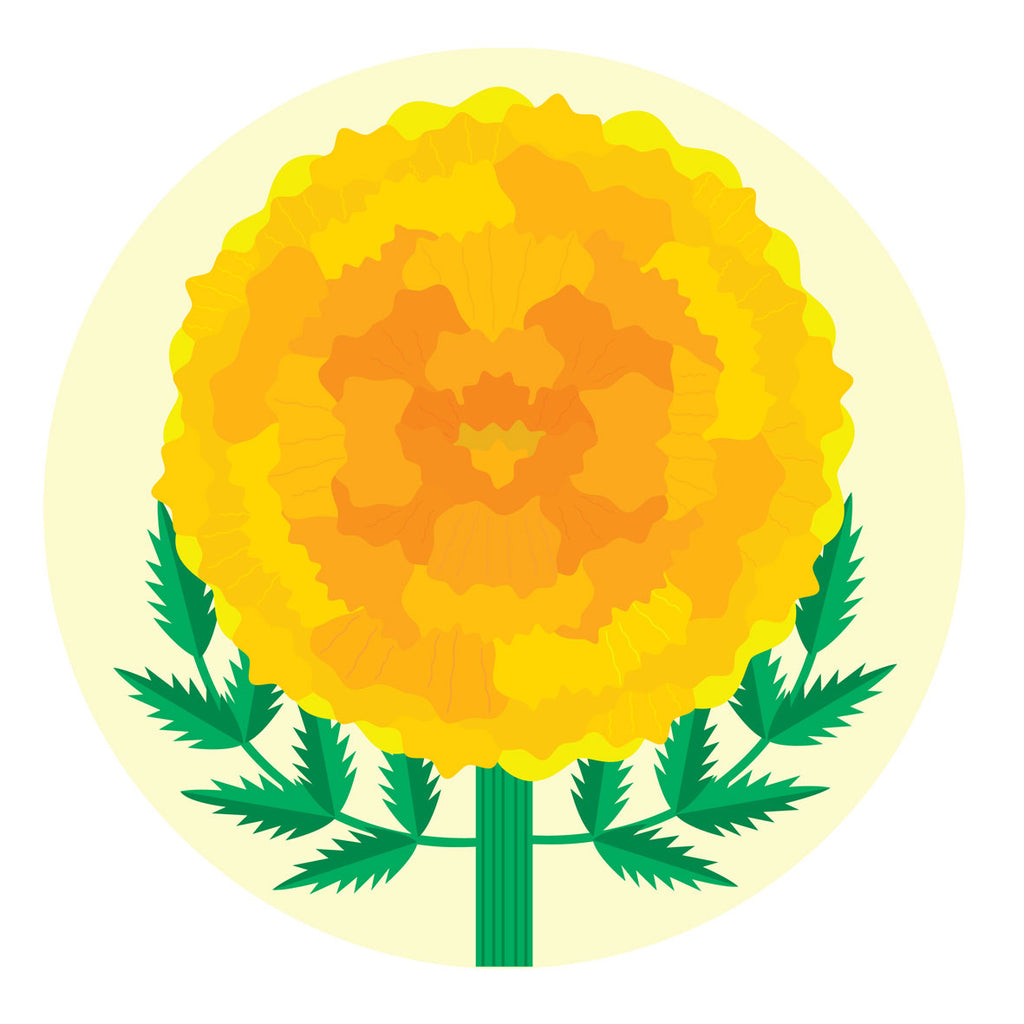 Marigold calendula design mats and coasters by Gillian Blease for Jenny Duff