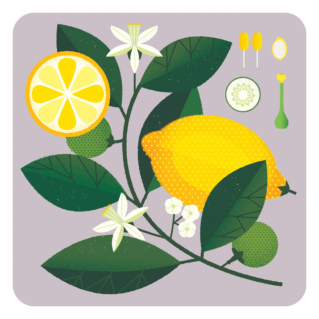 gillian blease lemon fruit design placemat place mat tablemat table mat melamine made in uk