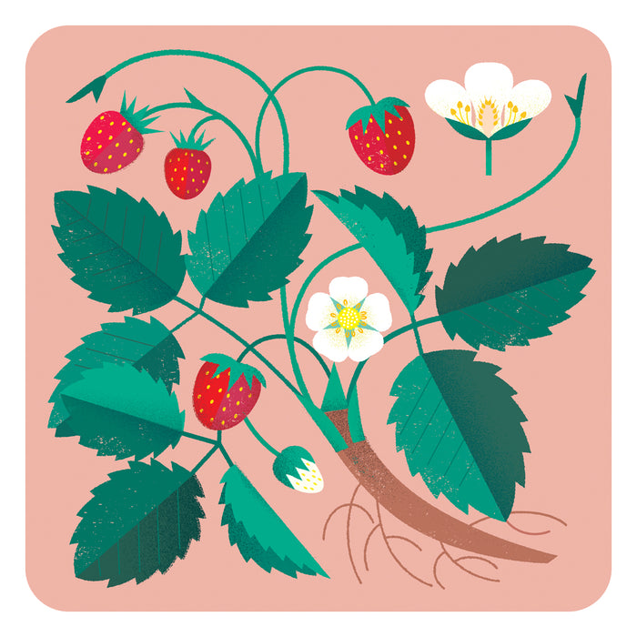 Fruit Designs