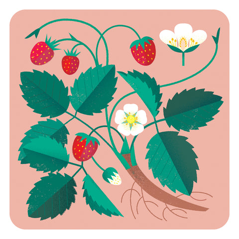 gillian blease strawberry fruit design placemat place mat tablemat table mat melamine made in uk